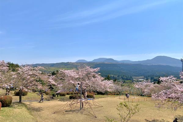 池平公園-2