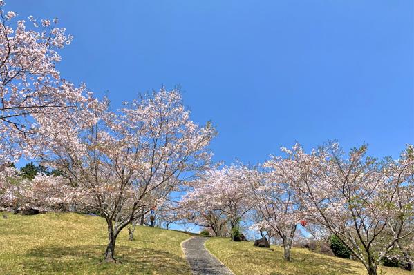 池平公園-4