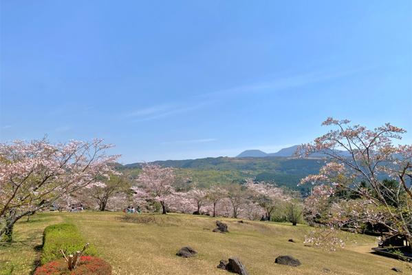 池平公園-5