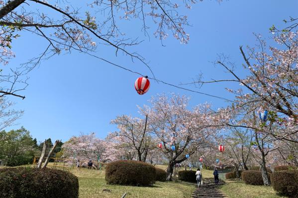 池平公園-3