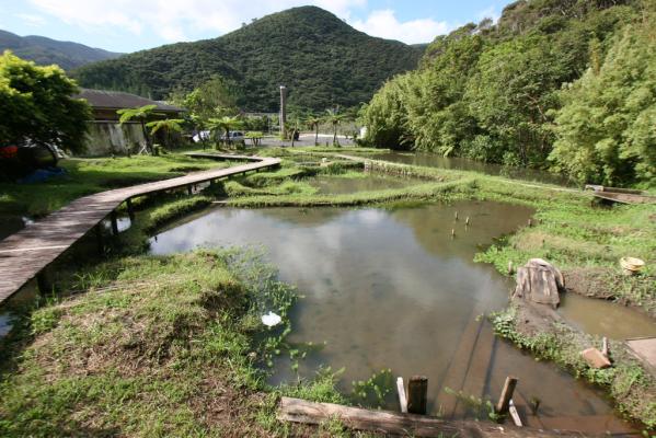 본고장 아마미오시마 명주 이염(泥染) 공원-1