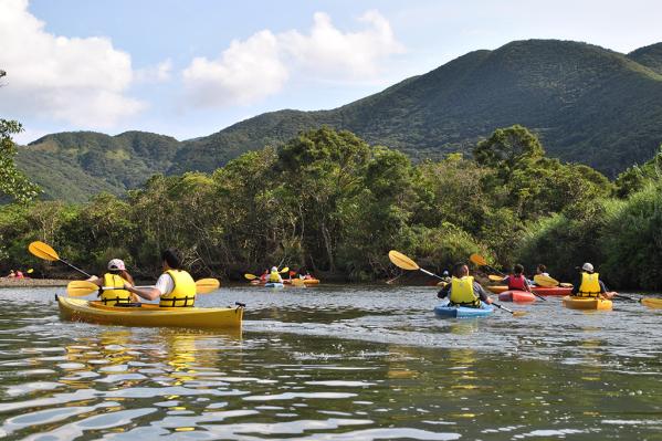 Amami Mangrove Forest-1