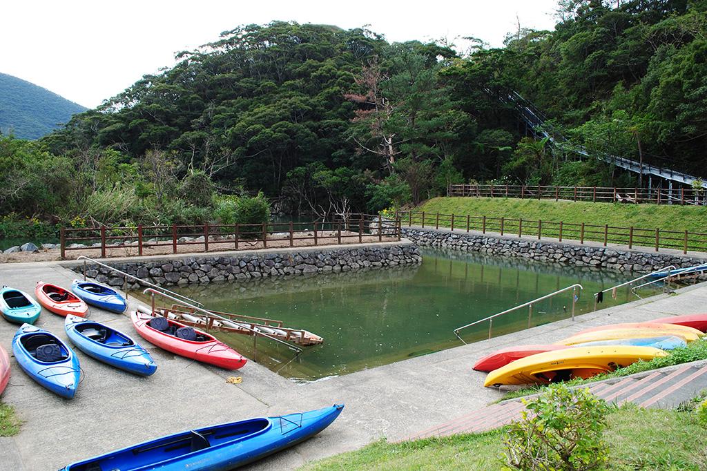 Amami Mangrove Forest-3