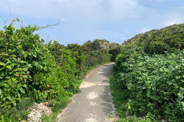 荒木・中里遊歩道-2