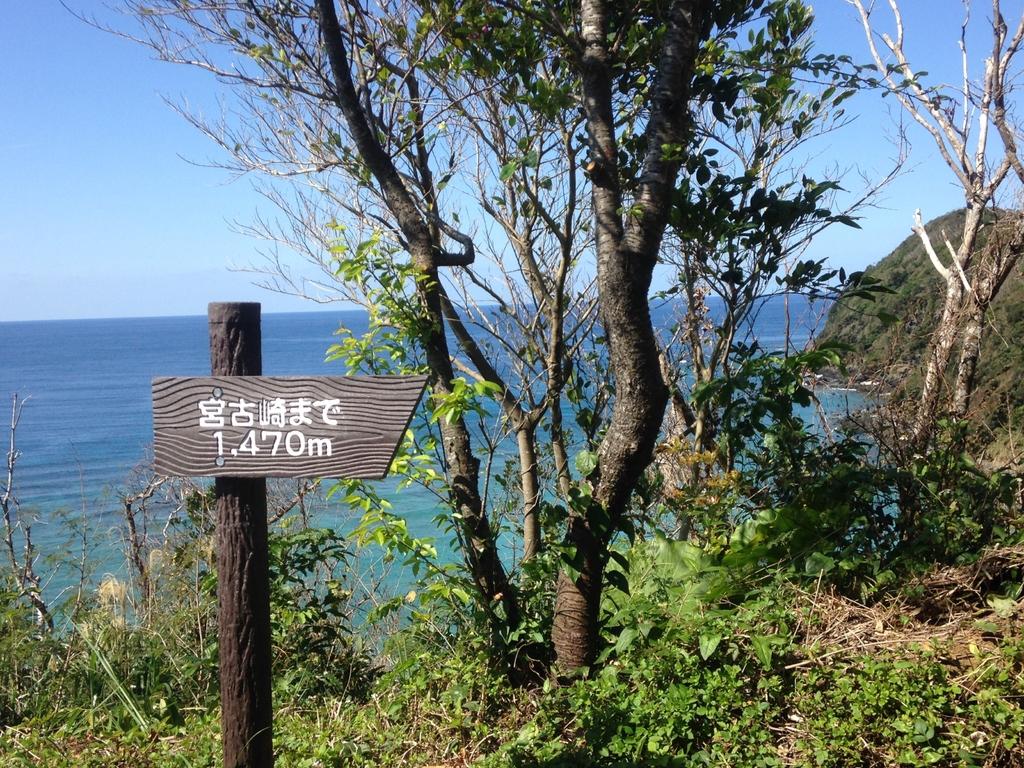 Cape Miyakozaki-4