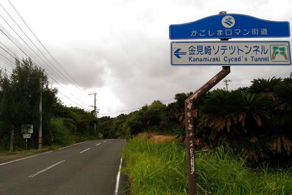 Kanamisaki Sago Palm Tunnel-8