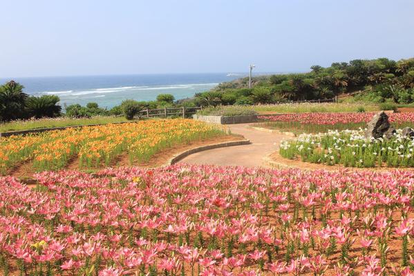 Kasaishi Beach Park-3