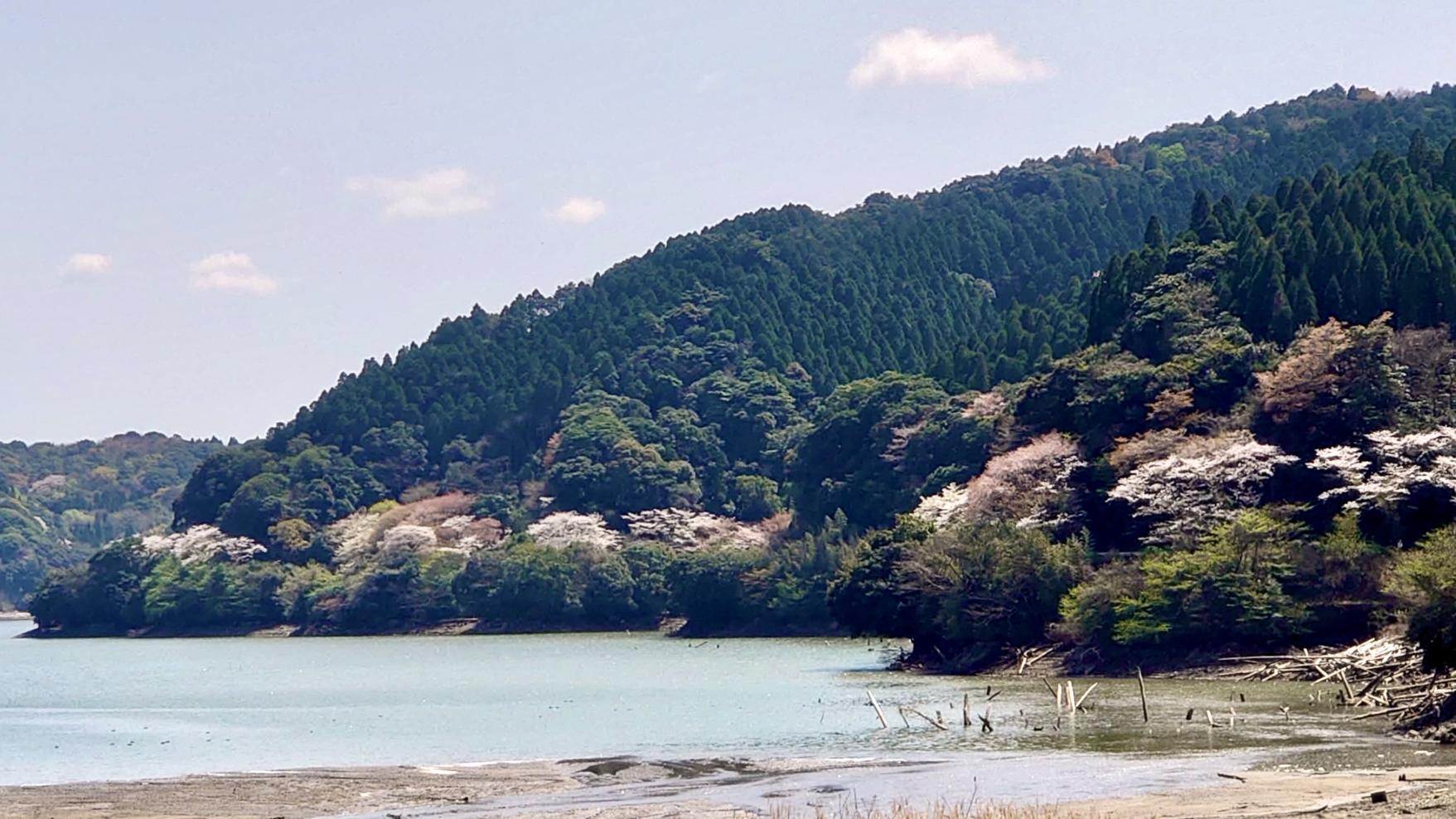 大隅湖-3