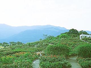 横尾岳公園-1