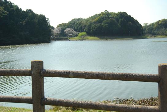 下小原池公園ログハウス-5