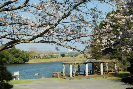 下小原池公園ログハウス-6