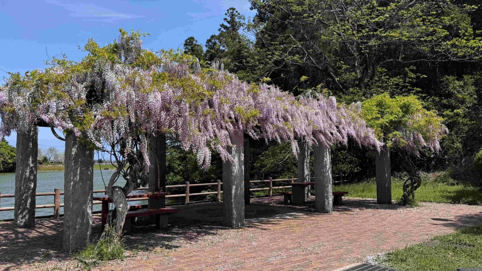 下小原池公園ログハウス-7