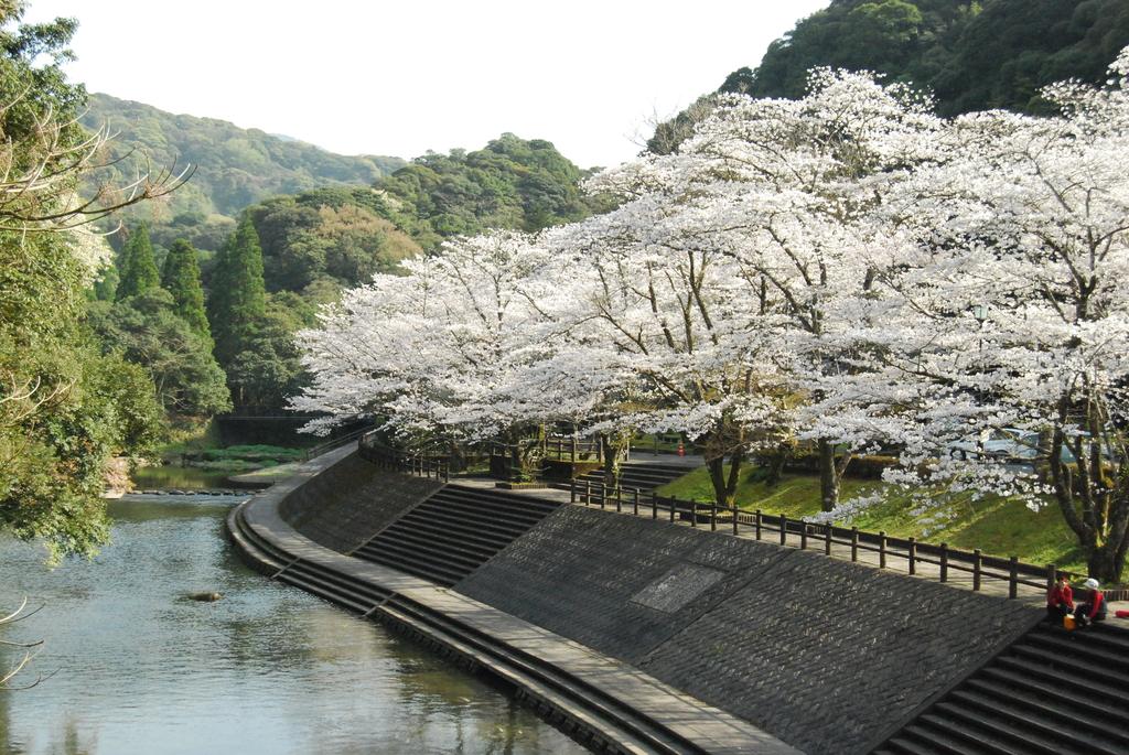 吾平山上陵（あいらさんりょう）-1