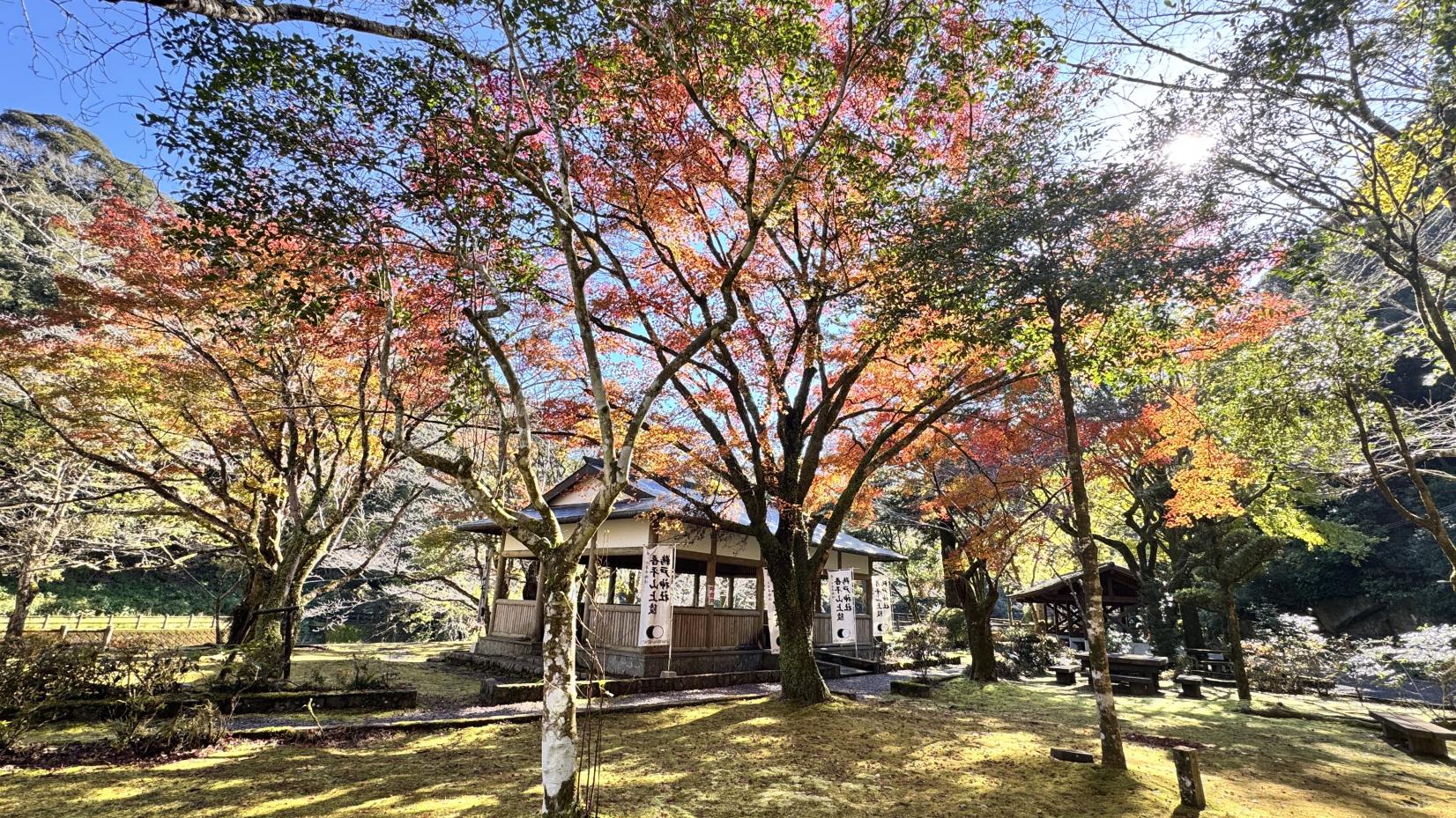 吾平山上陵（あいらさんりょう）-1