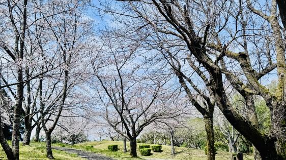 鹿児島県立大隅広域公園・キャンプ場-2