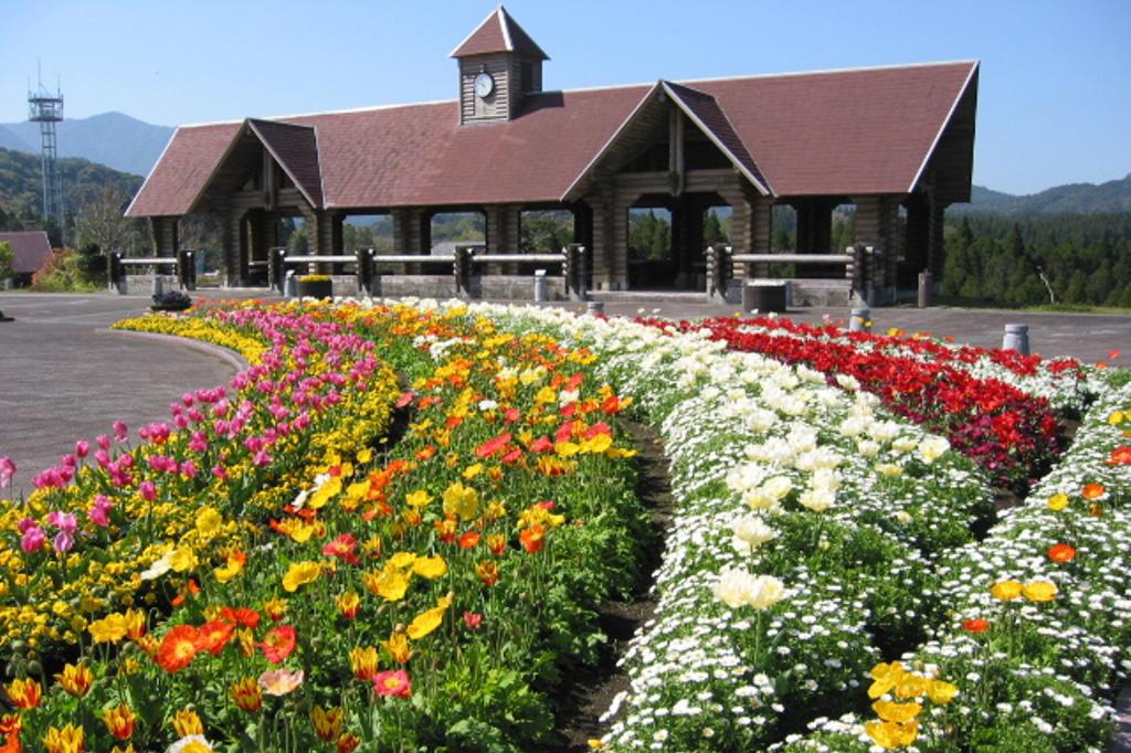 鹿児島県立大隅広域公園・キャンプ場-7