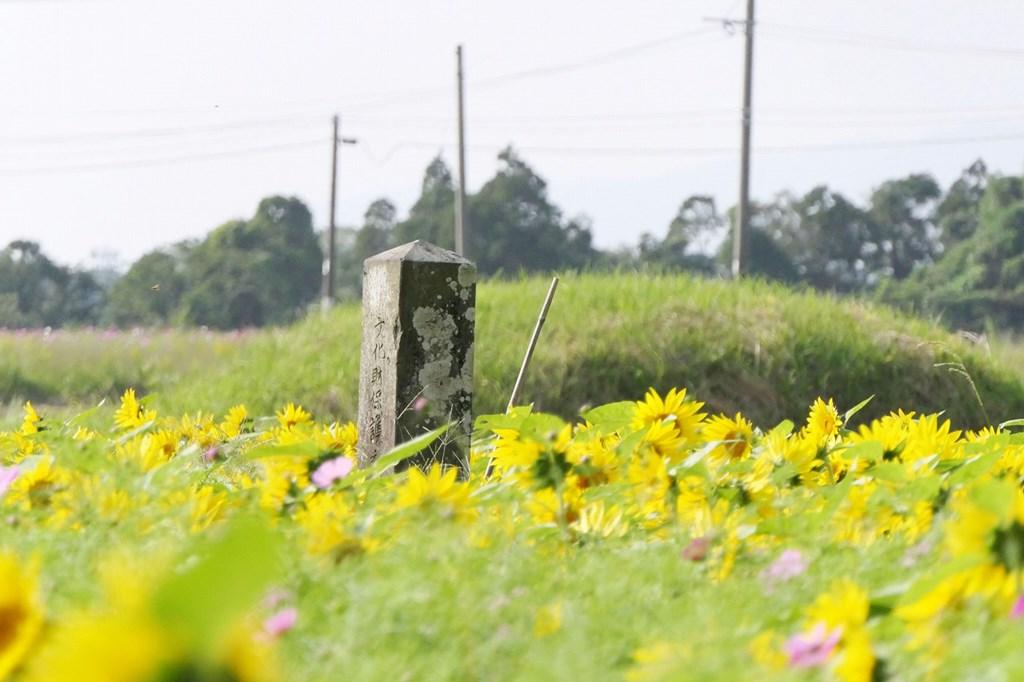 塚崎古墳群-0