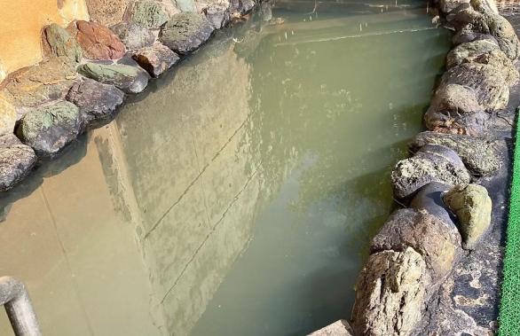 ねじめ温泉ネッピー館-5