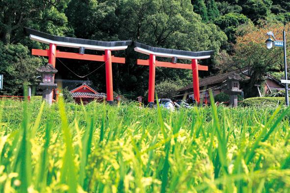 諏訪神社 並立鳥居-2