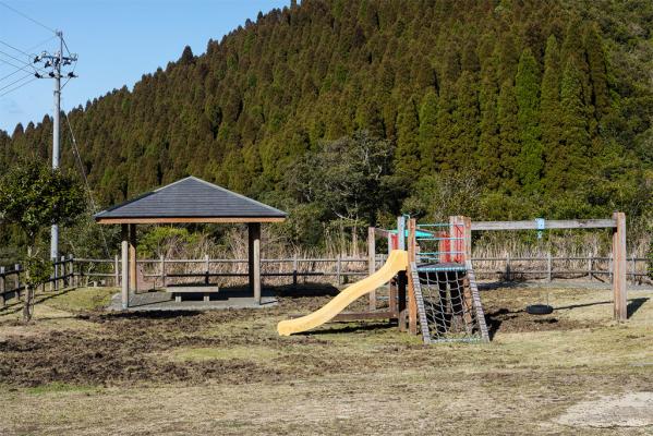 鹿児島県照葉樹の森・稲尾岳ビジターセンター-2