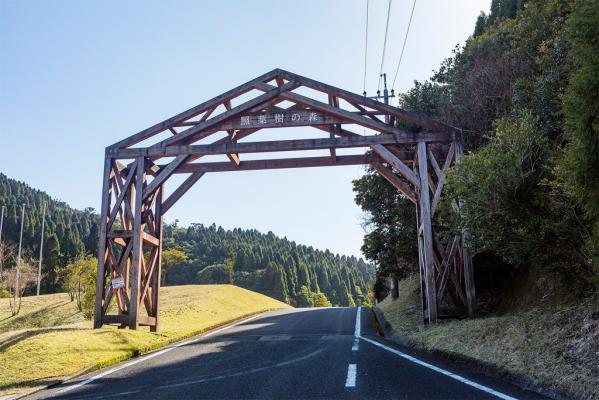 鹿児島県照葉樹の森・稲尾岳ビジターセンター-4