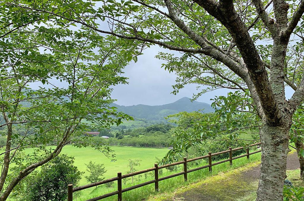 花瀬自然公園・キャンプ場・バンガロー村-9