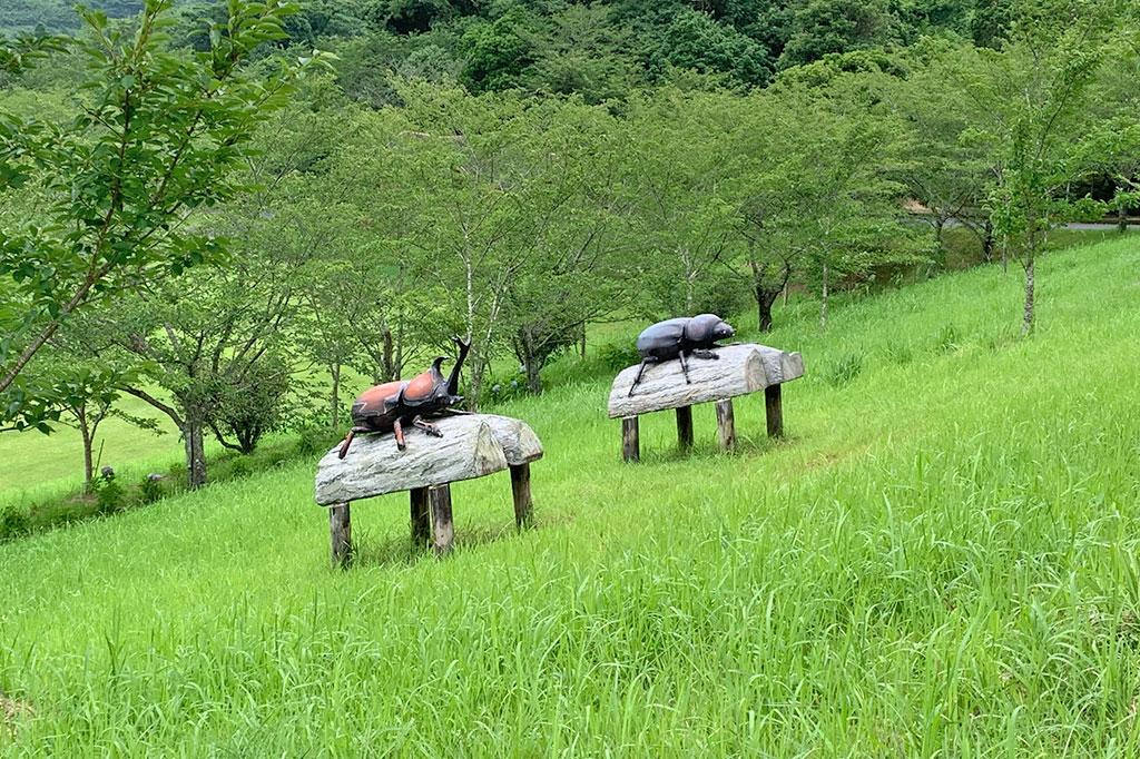 花瀬自然公園・キャンプ場・バンガロー村-6