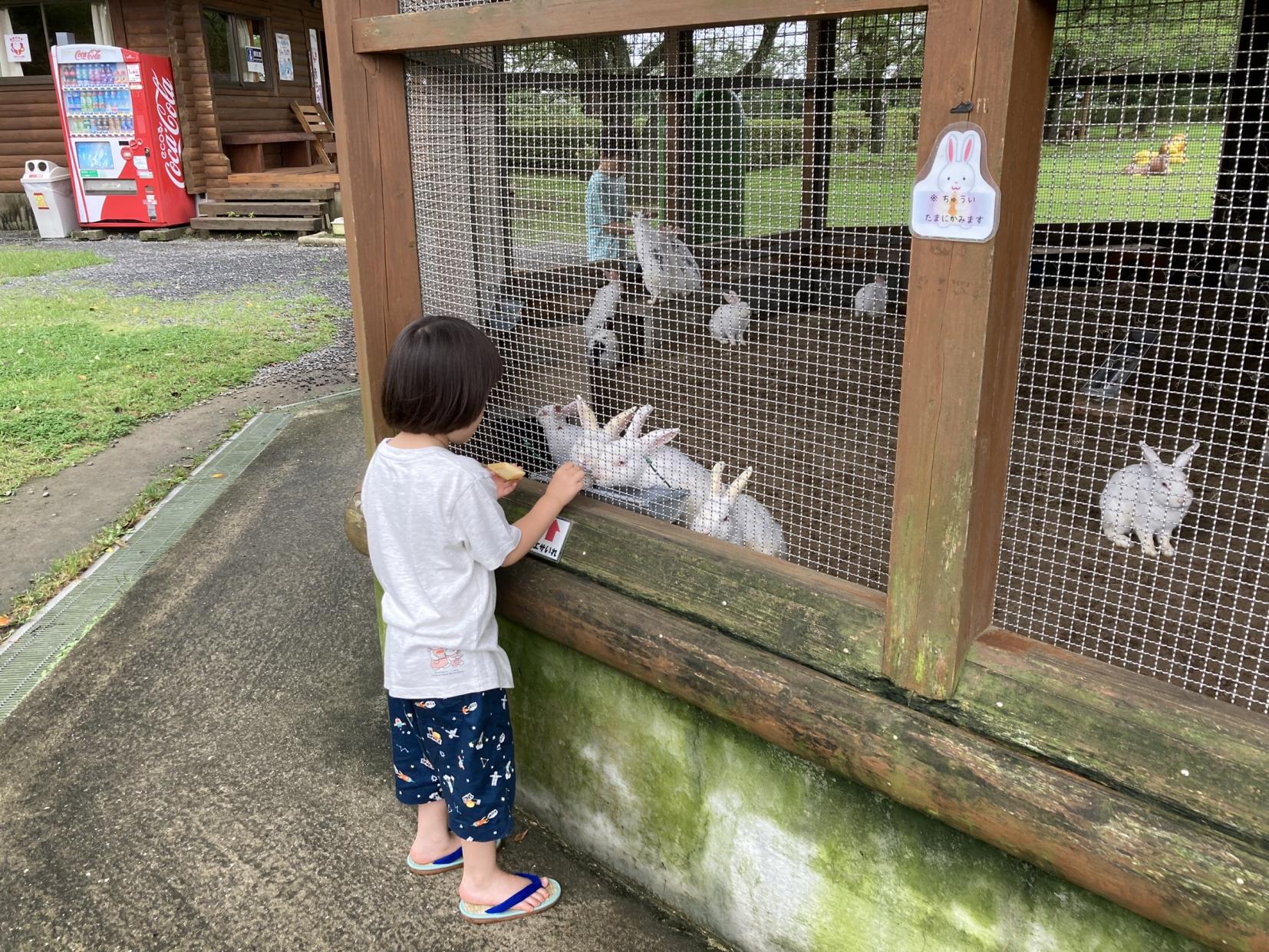 寺山いこいの広場-4