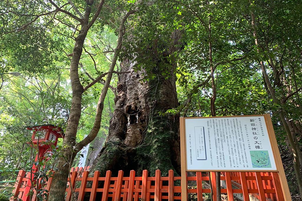 新田神社（可愛山陵）-2