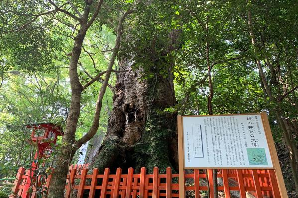 新田神社（可愛山陵）-2