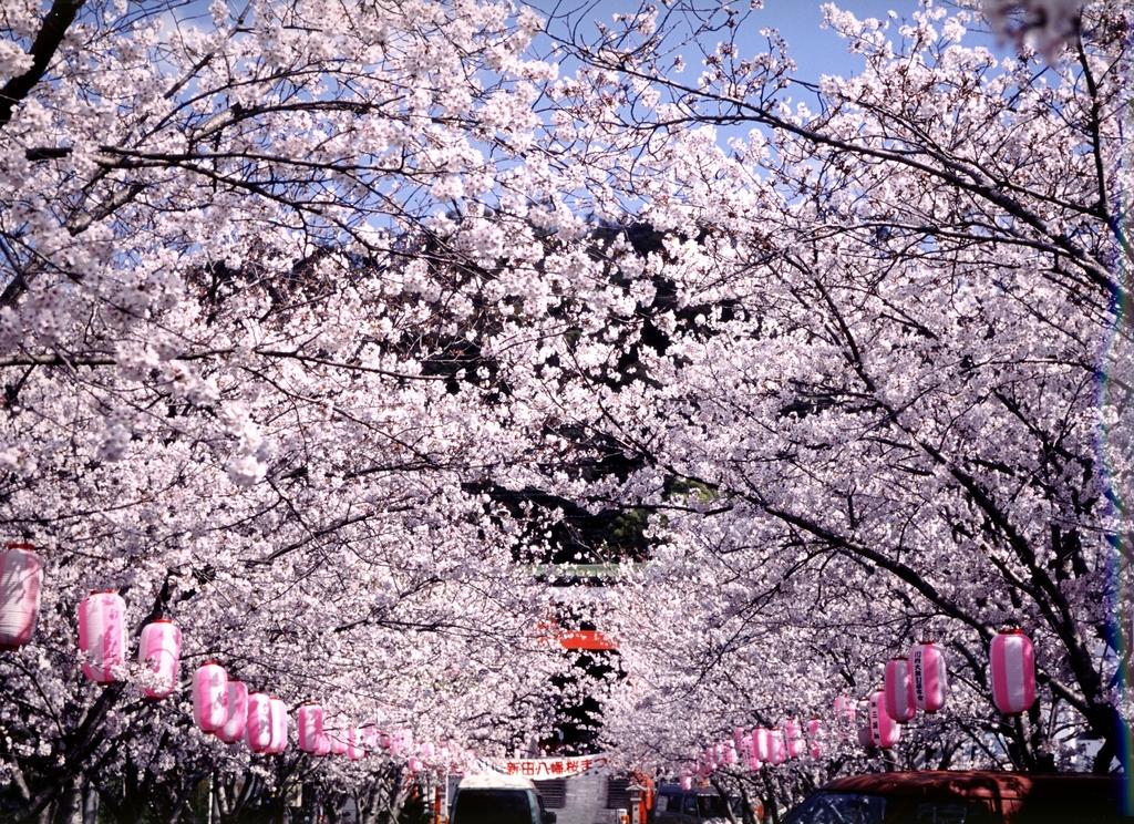 新田神社-3