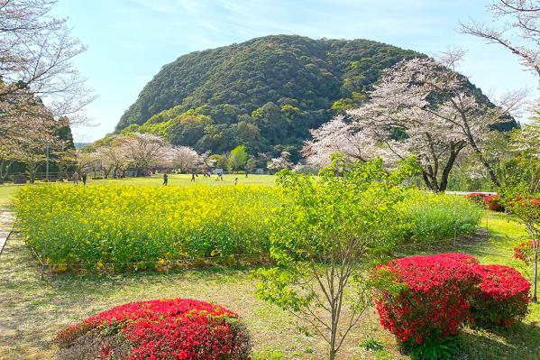 休闲森林 丸山公园-4