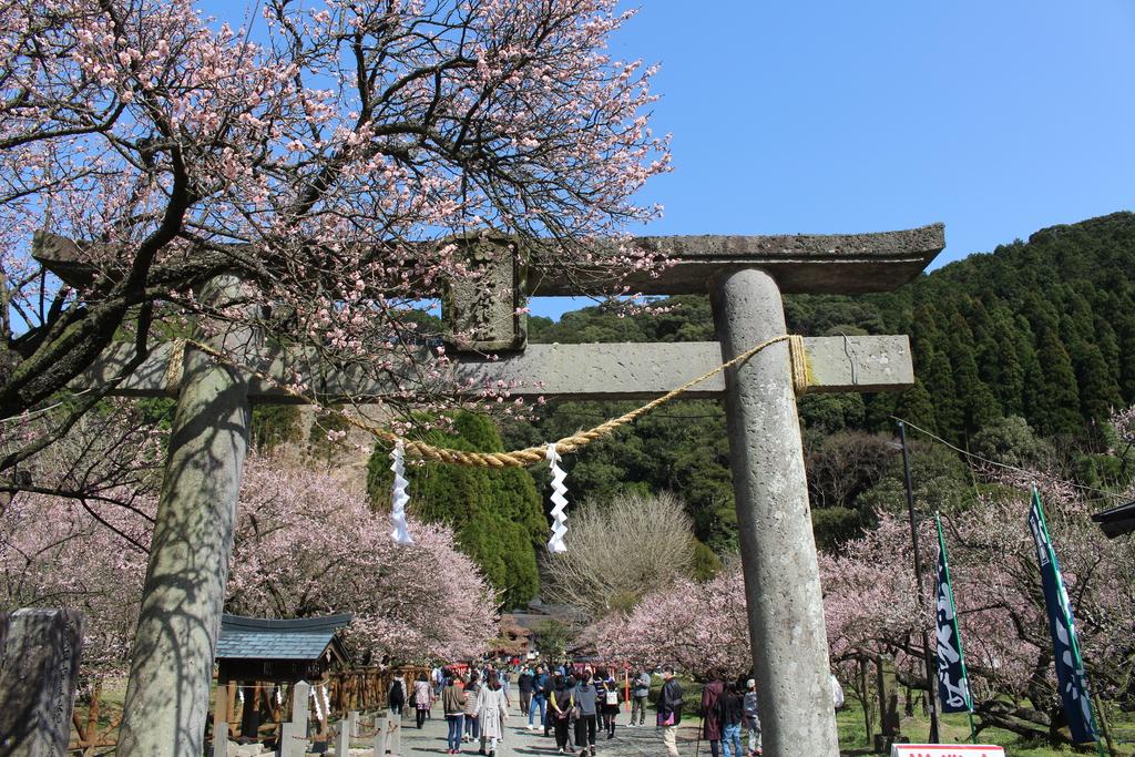 藤川天神（臥龍梅）-1