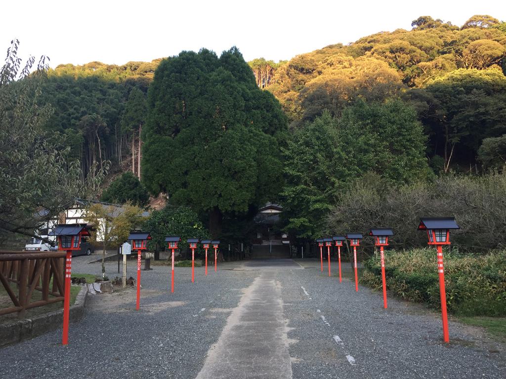 藤川天神（臥龍梅）-8