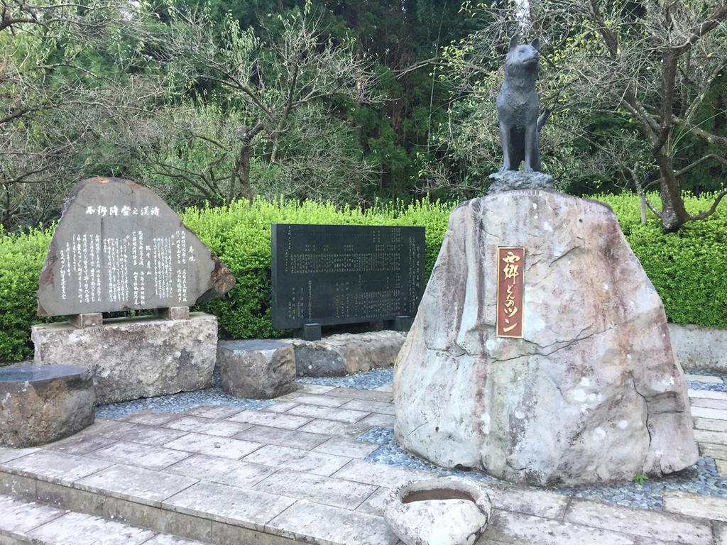 藤川天神（臥龍梅）-8