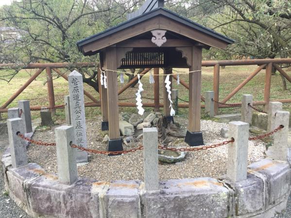 藤川天神（臥龍梅）-6