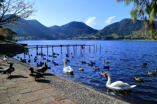 藺牟田池自然公園-4