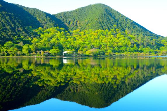 藺牟田池自然公園-5