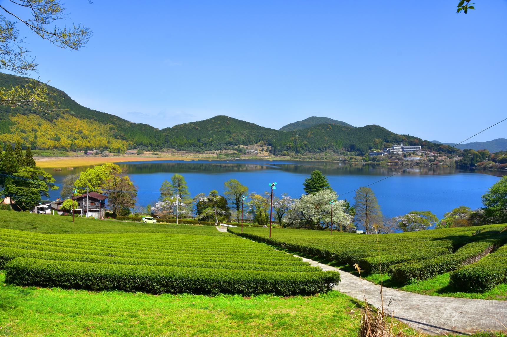 藺牟田池自然公園-1