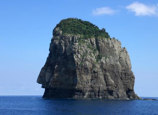 Sightseeing cruise boat, Kanoko-2