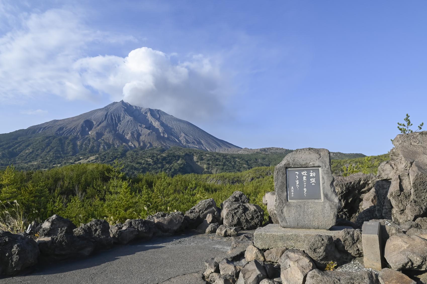 有村溶岩展望所-6