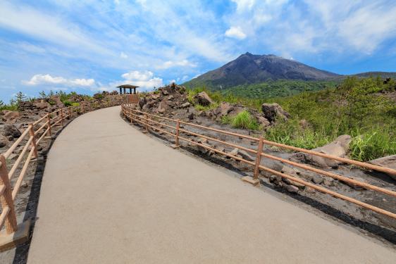 Arimura Lava Observatory-1