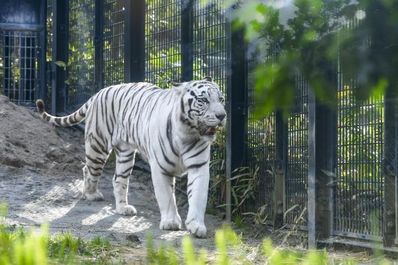 Hirakawa Zoological Park-2