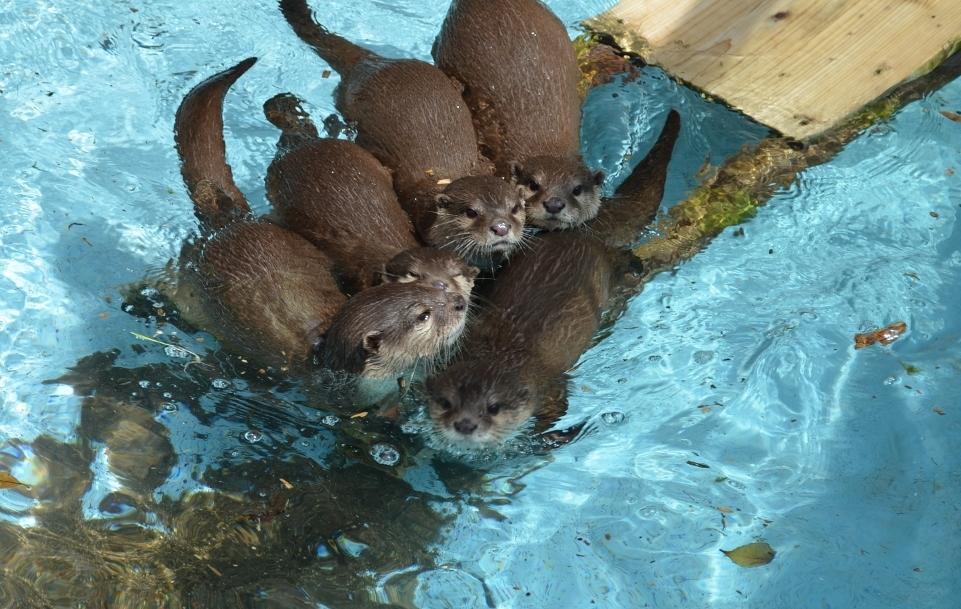 鹿兒島市平川動物園-7