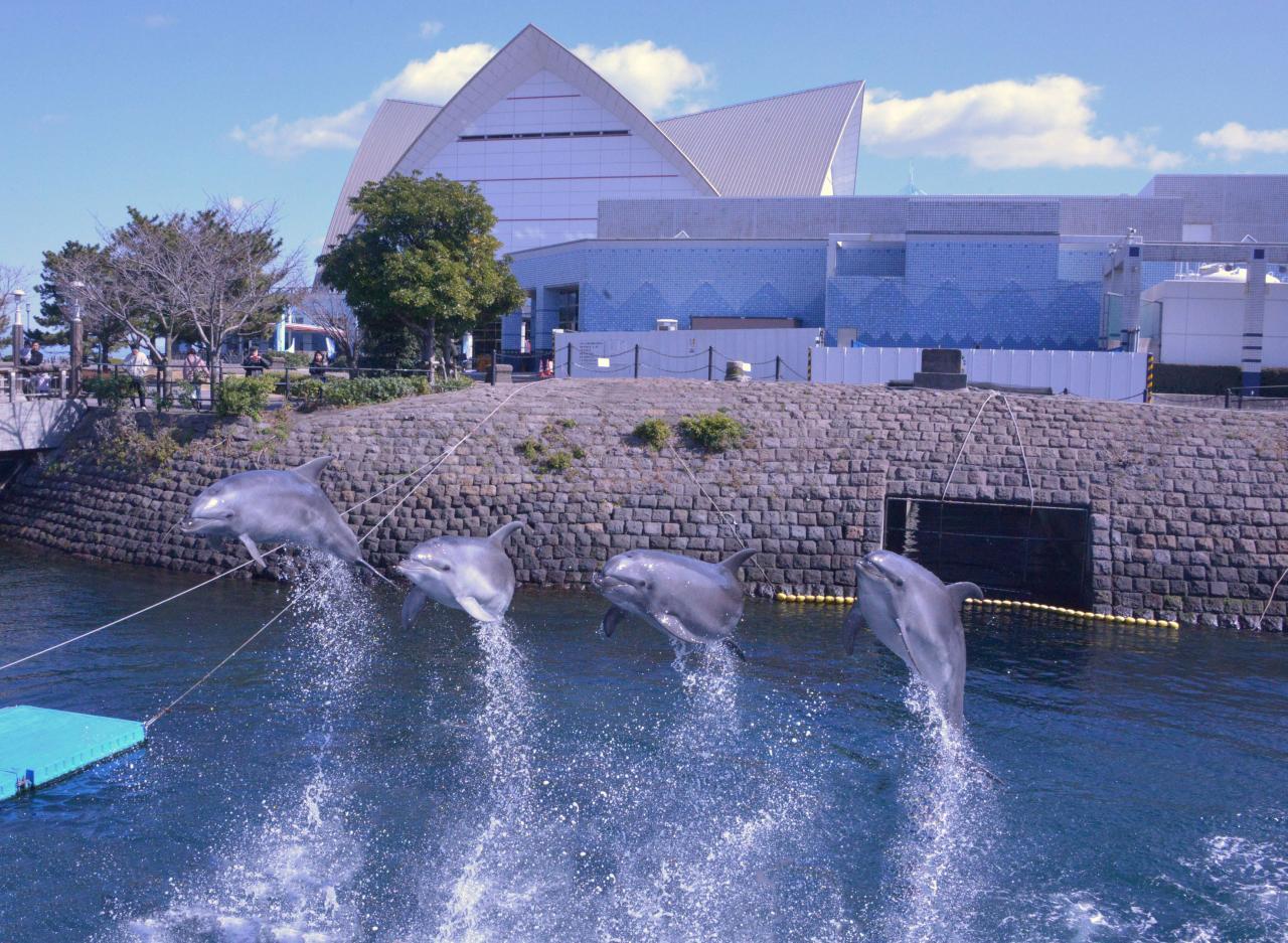 Kagoshima City Aquarium (Io World)-5