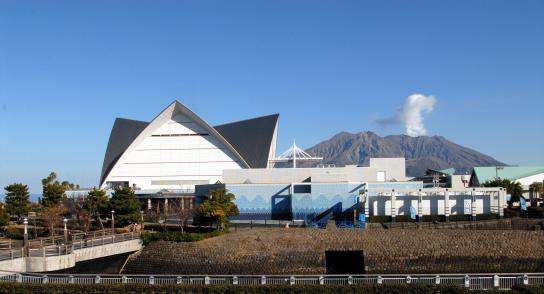 Kagoshima City Aquarium (Io World)-6