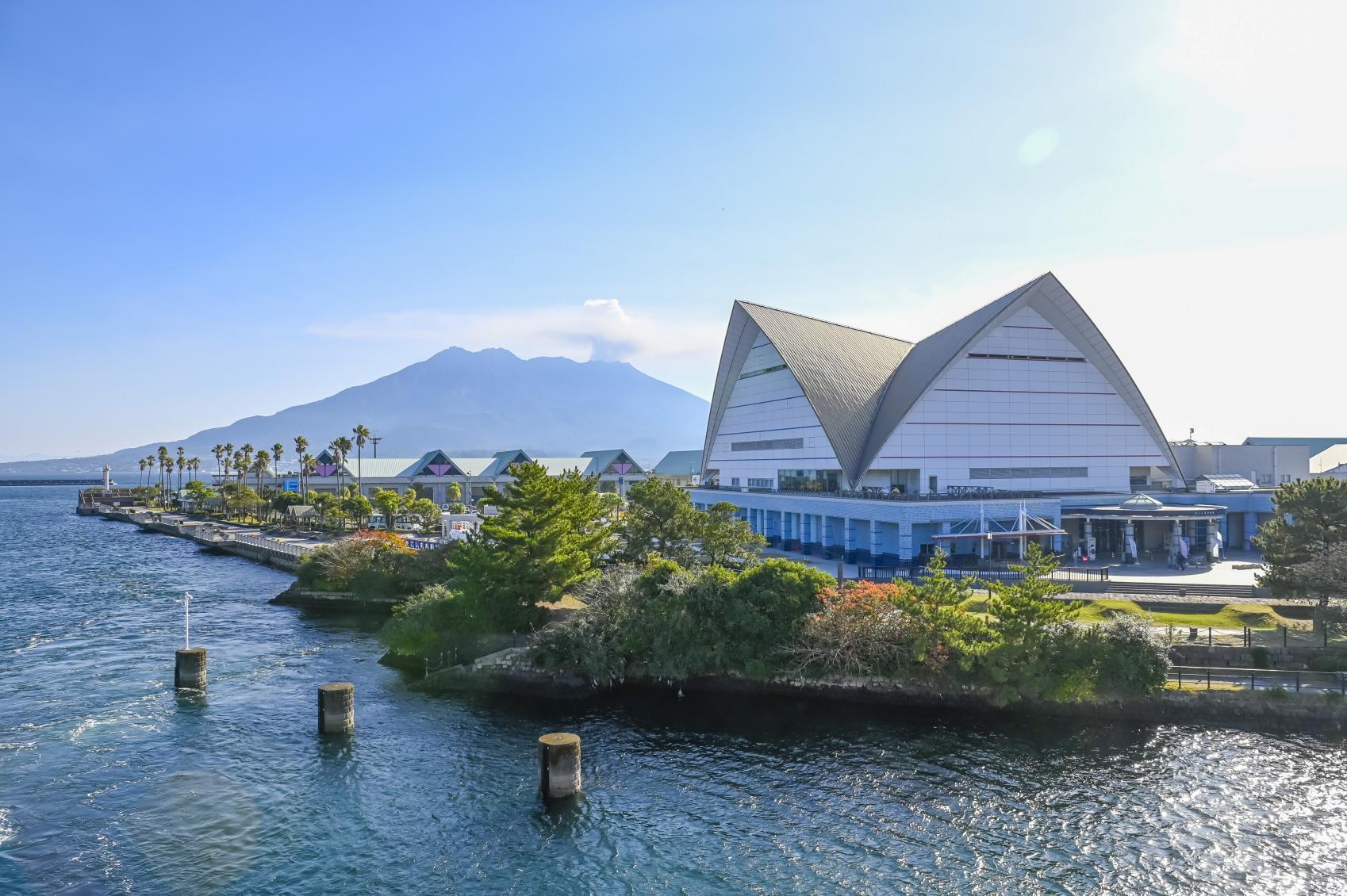 鹿儿岛水族馆(鱼的世界)-9