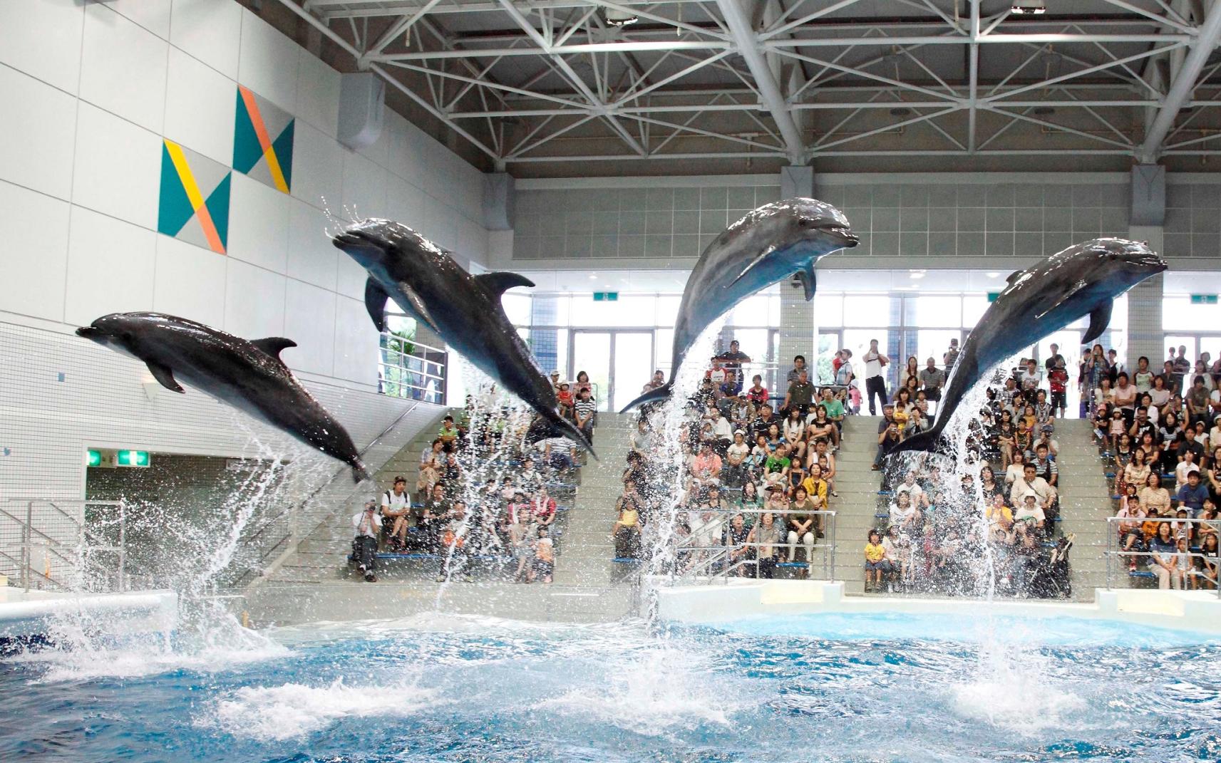  【Day 2】Kagoshima City Aquarium (IO World) 