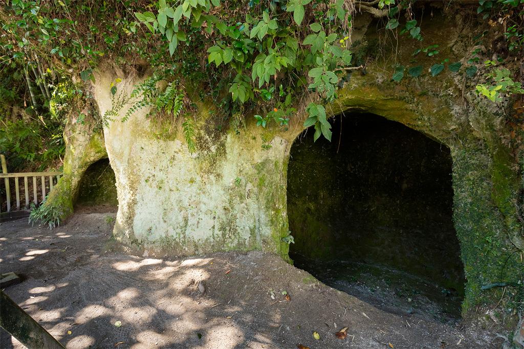 城山公園（展望台・自然遊歩道）-5