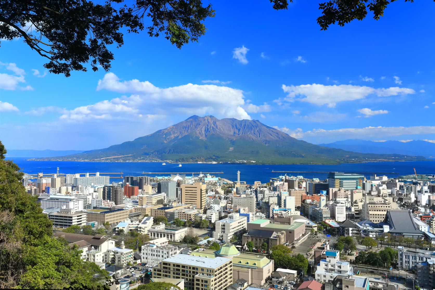  城山公園（展望台・自然遊歩道） 